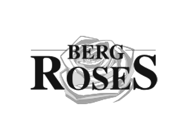 van-den-berg-roses-países-bajos